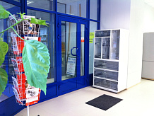 Открытие нового офиса продаж в Волгограде